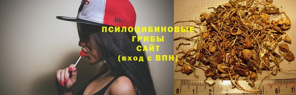 стафф Арсеньев