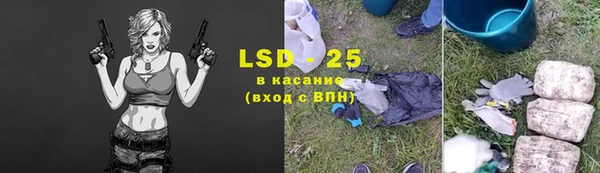 стафф Арсеньев