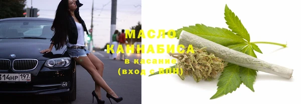 гашик Аркадак