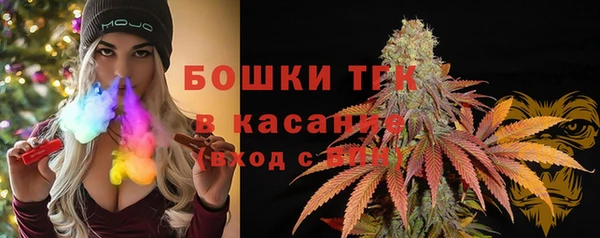 стафф Арсеньев